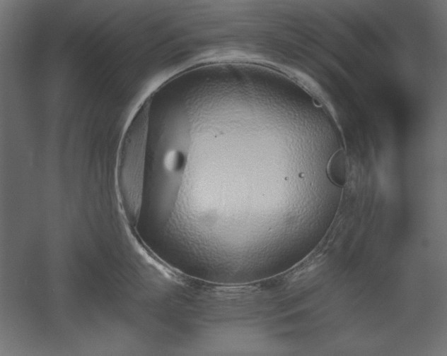 X0000051910863200507011532