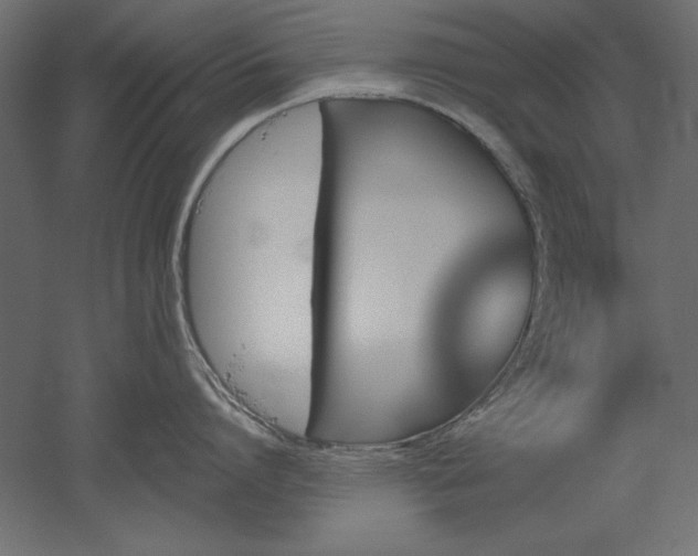 X0000051910864200507011532