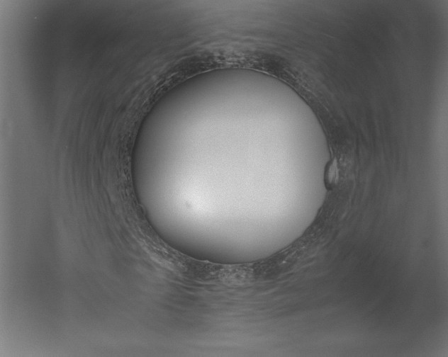 X0000051910865200507011531