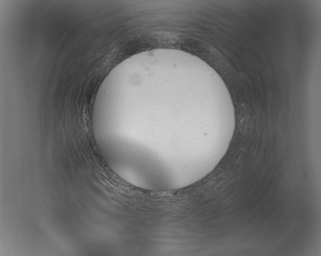 X0000051910866200507011531