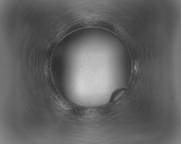 X0000051910867200507011531