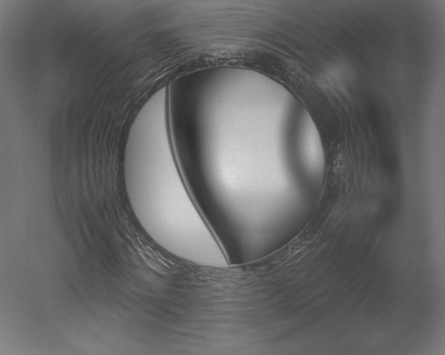 X0000051910868200507011531