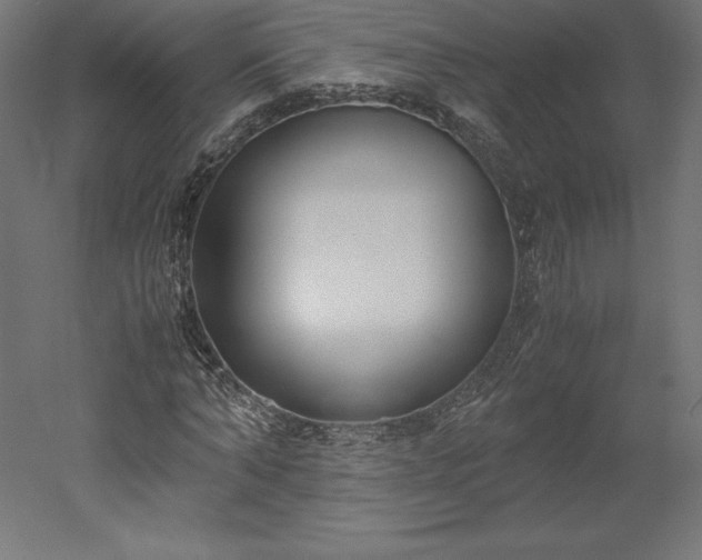 X0000051910870200507011531