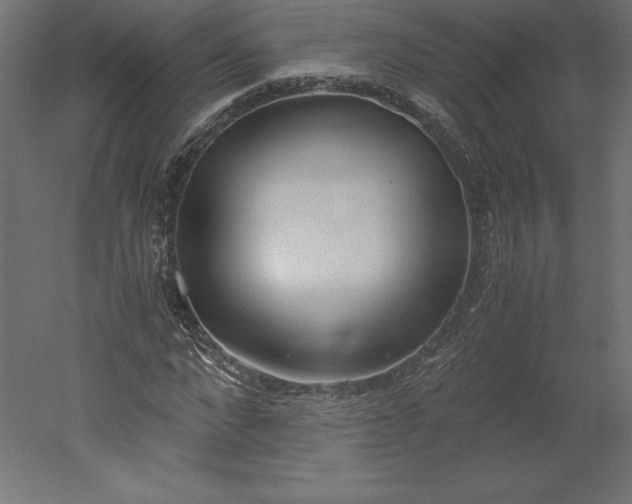 X0000051910872200507011531