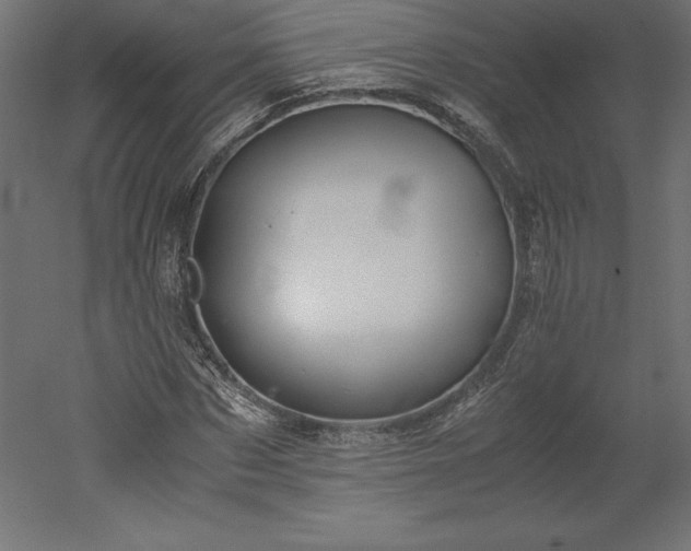 X0000051910873200507011531