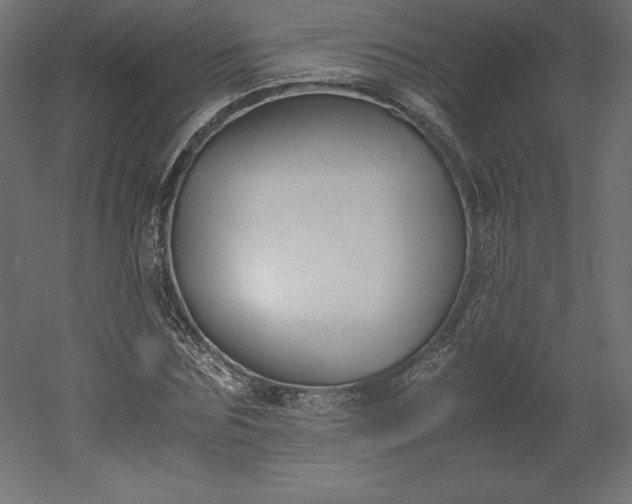 X0000051910875200507011531