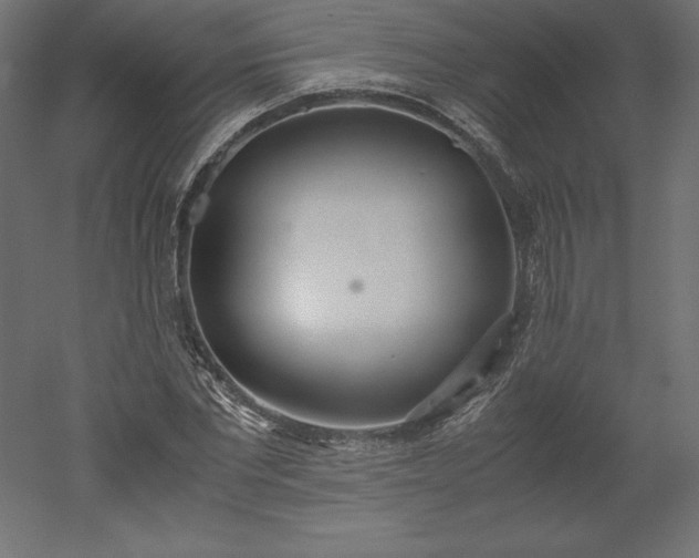 X0000051910877200507011531