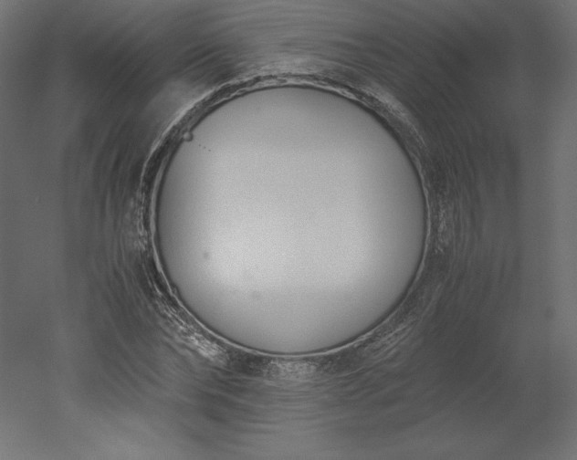 X0000051910878200507011531