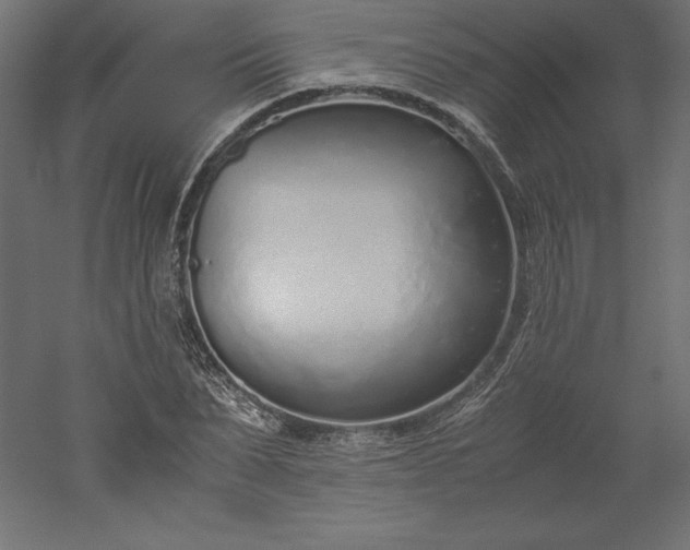 X0000051910879200507011531