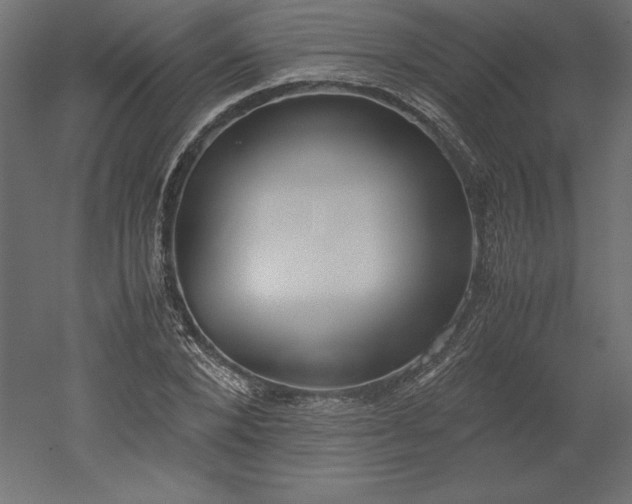 X0000051910880200507011531