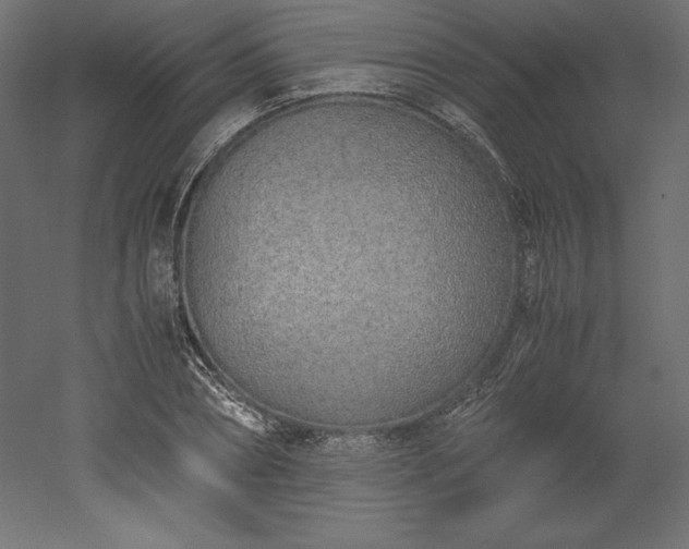 X0000051910882200507011531