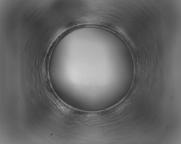 X0000051910883200507011531