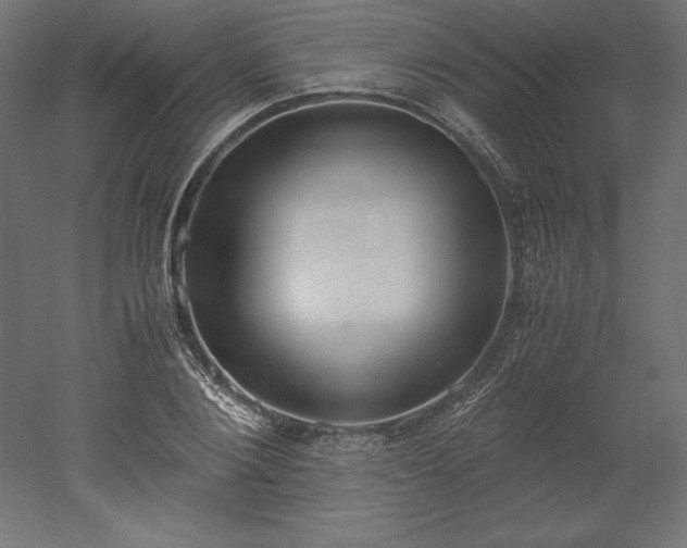 X0000051910884200507011531