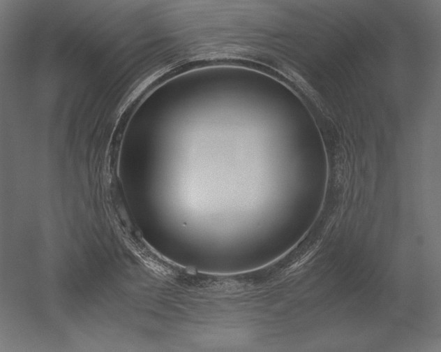 X0000051910885200507011531