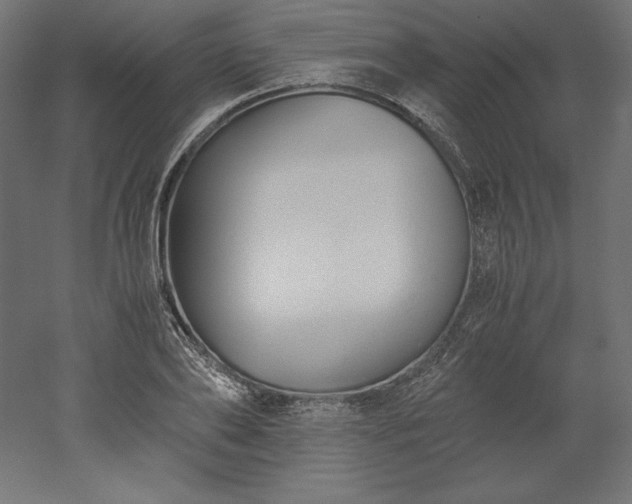 X0000051910886200507011531