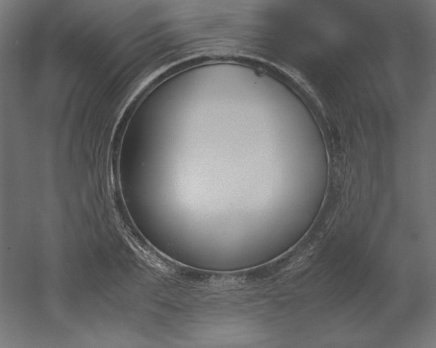 X0000051910887200507011531