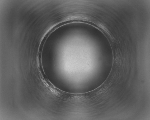 X0000051910888200507011531