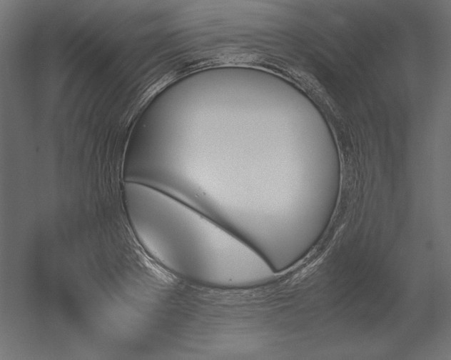 X0000051910889200507011530