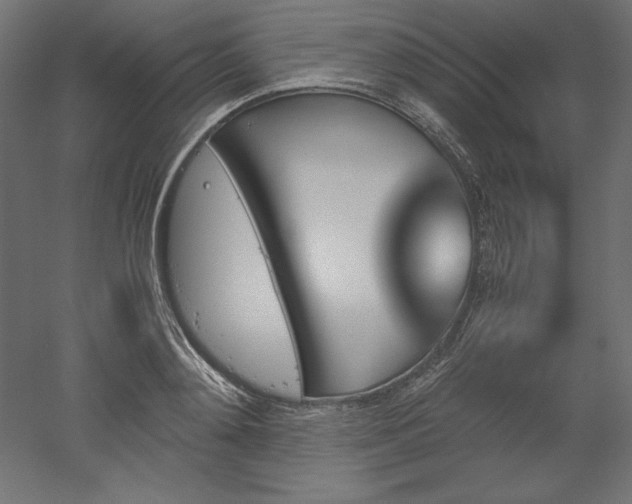 X0000051910892200507011530