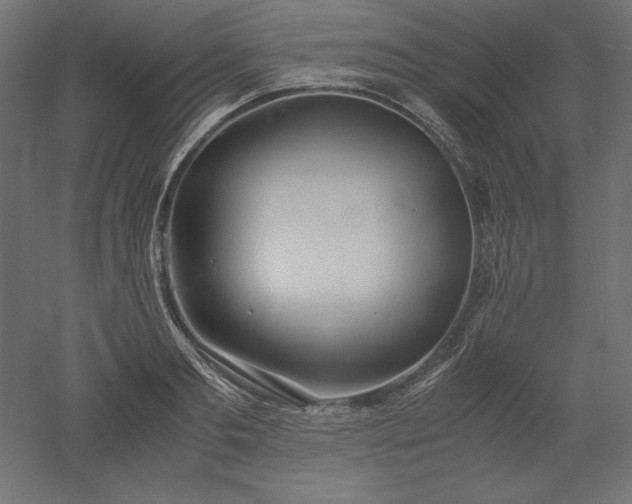 X0000051910893200507011530