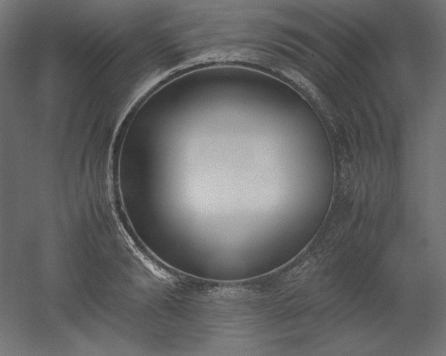 X0000051910894200507011530