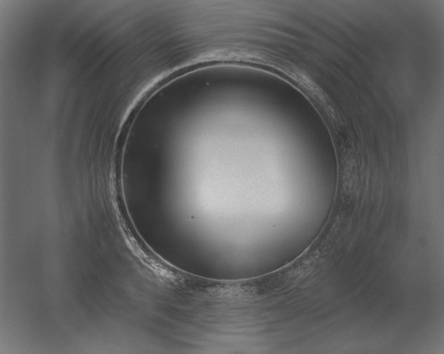 X0000051910896200507011530