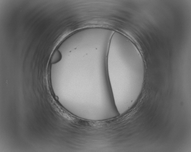 X0000051910899200507011530