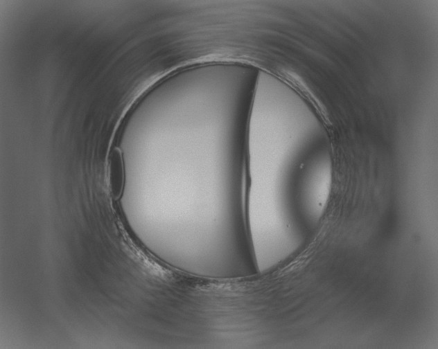 X0000051910900200507011530