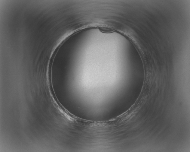 X0000051910902200507011530