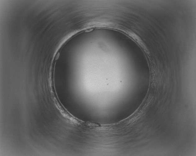 X0000051910904200507011530