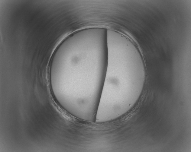 X0000051910907200507011530