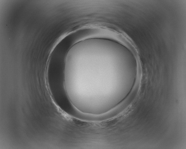 X0000051910909200507011530