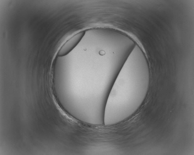 X0000051910911200507011530