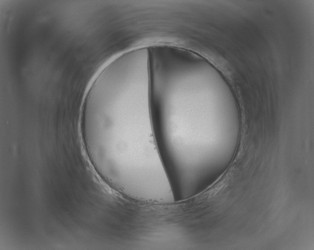 X0000051910912200507011530