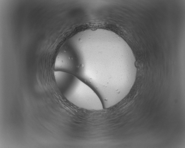 X0000051910913200507011529