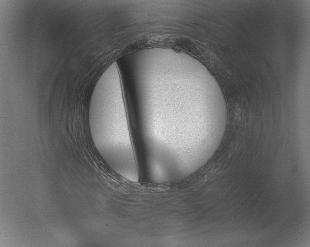 X0000051910914200507011529