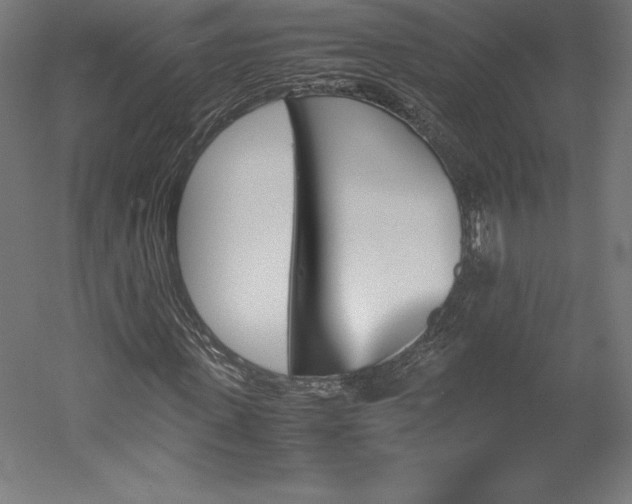 X0000051910915200507011529