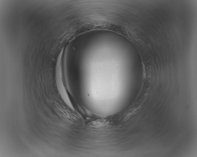 X0000051910916200507011529