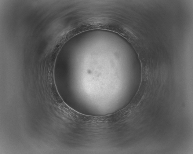 X0000051910917200507011529