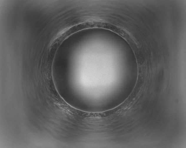 X0000051910919200507011529