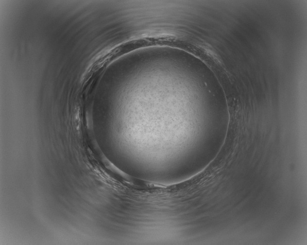 X0000051910920200507011529