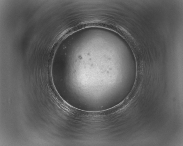 X0000051910921200507011529