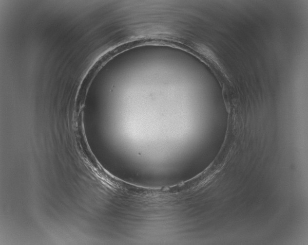 X0000051910924200507011529