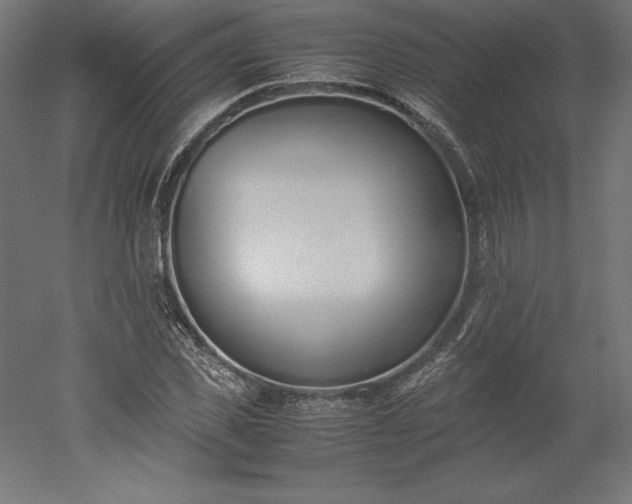 X0000051910925200507011529