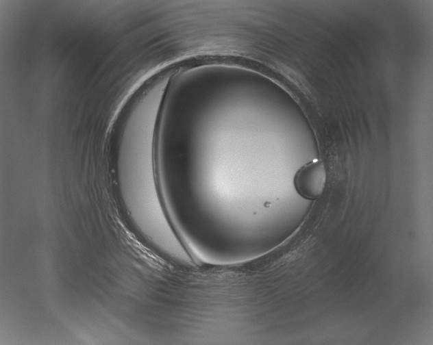 X0000051910926200507011529