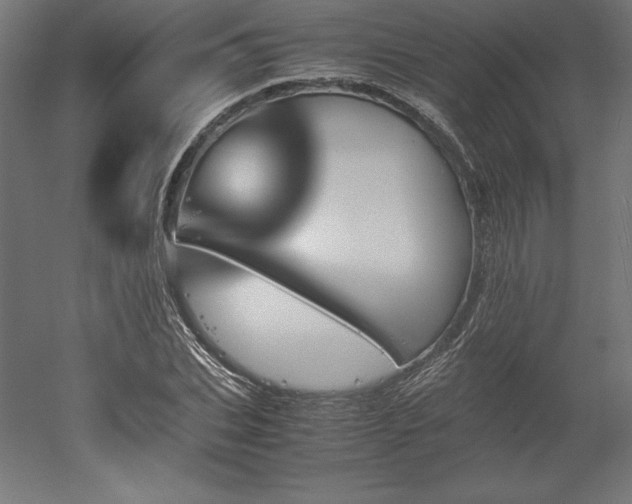 X0000051910927200507011530