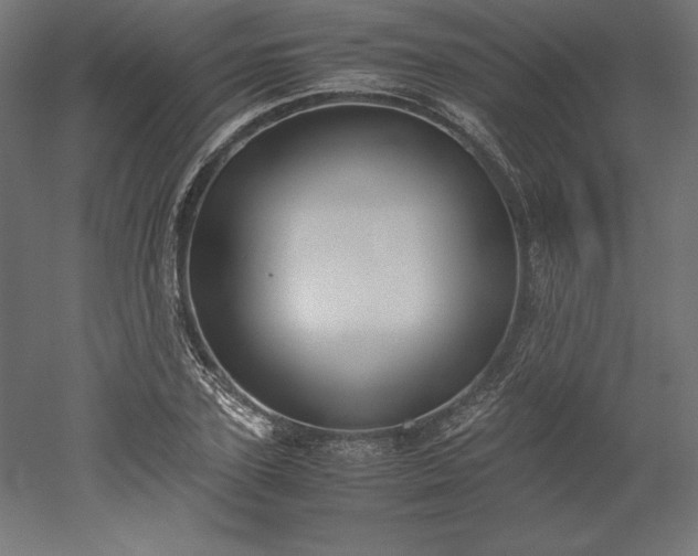 X0000051910931200507011530