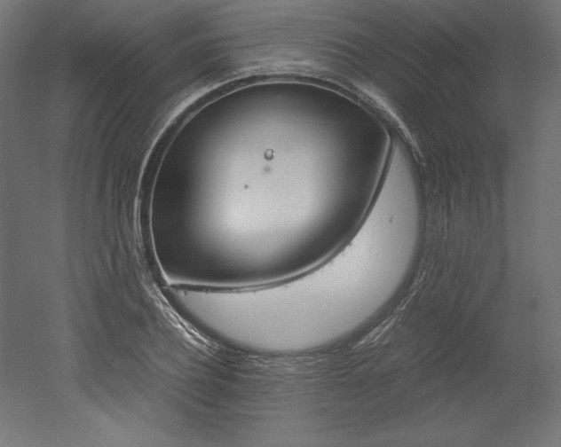 X0000051910932200507011530