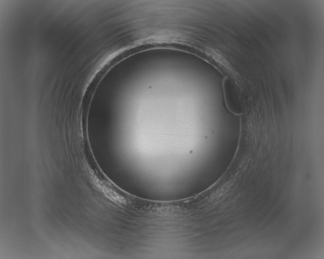 X0000051910934200507011530