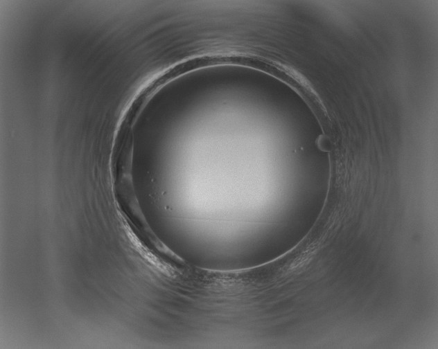 X0000051910935200507011530